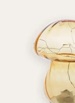 CHAMPIGNON LUMINEUX AMBRE