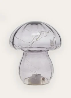 CHAMPIGNON LUMINEUX GRIS