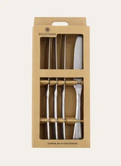 COFFRET DE 4 COUTEAUX EN ACIER RÉTRO ARGENT