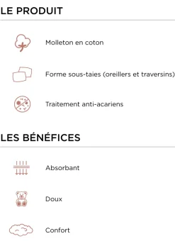 SOUS-TAIE D'OREILLER CARRÉE EN COTON ANTI-ACARIENS BLANC