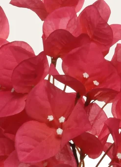 TIGE ARTIFICIELLE 100CM FUCHSIA